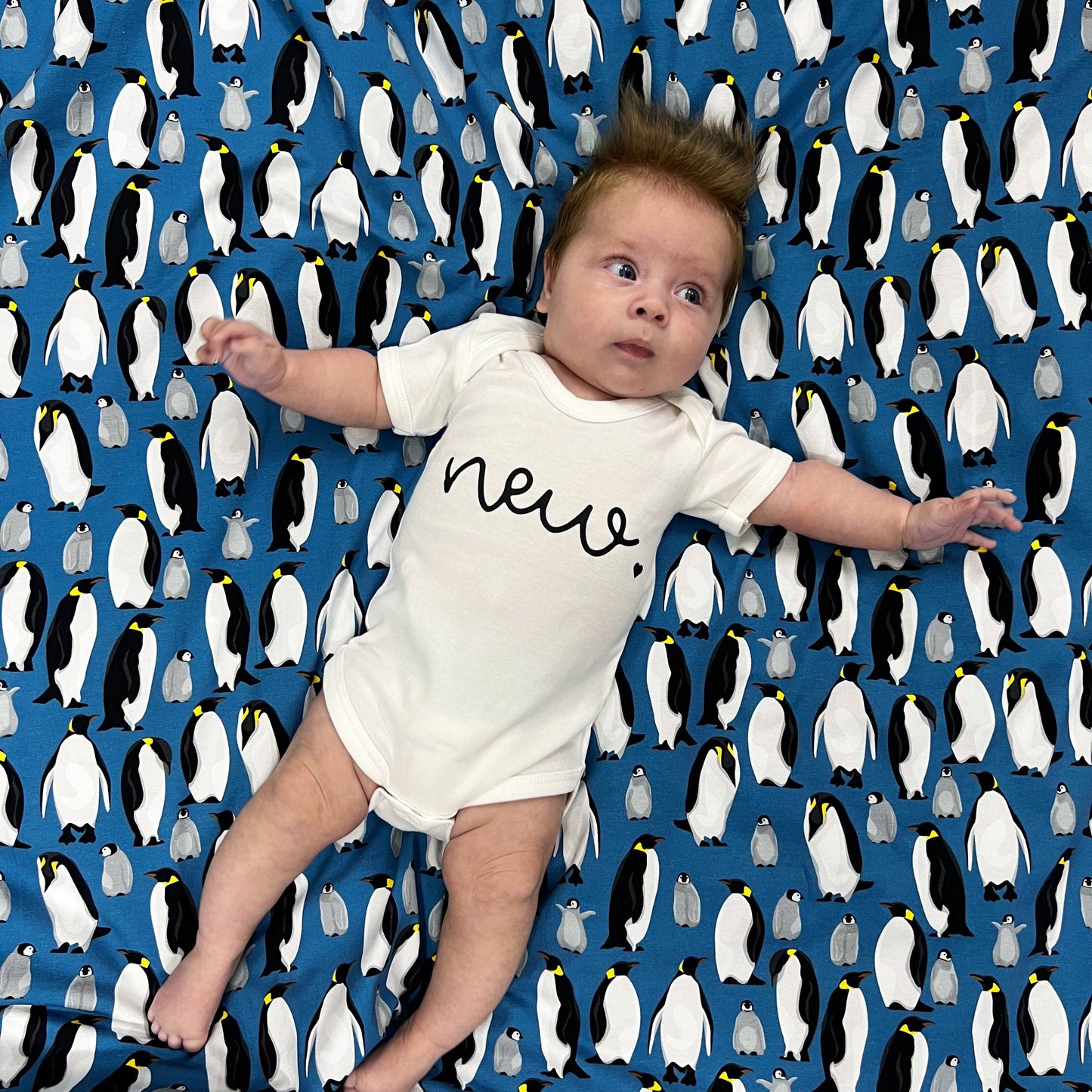 Blue Penguin cotton sleepsuit: 0-3 M