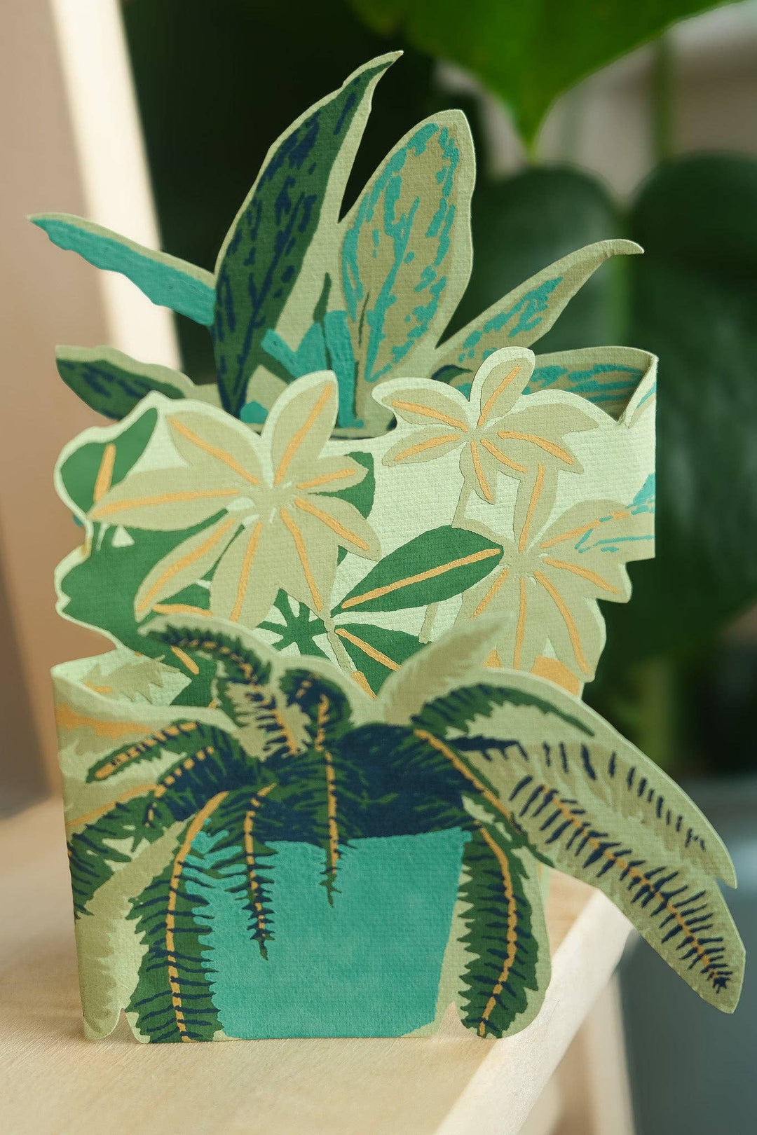 UK/EU: Plant Pot Concertina Greeting Card