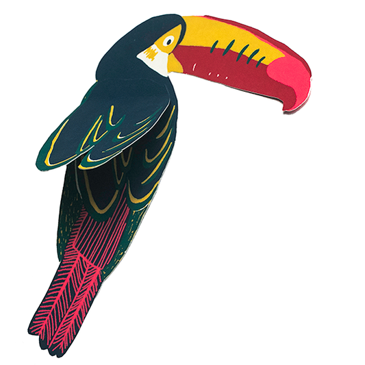 Toucan Greeting Card: C5