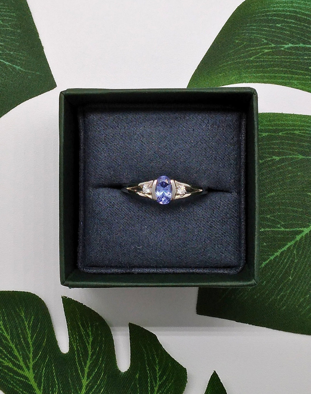 Alchemy of Souls - Violet Elizabeth - 