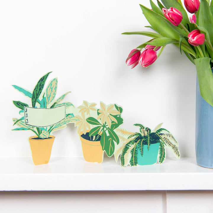 UK/EU: Plant Pot Concertina Greeting Card