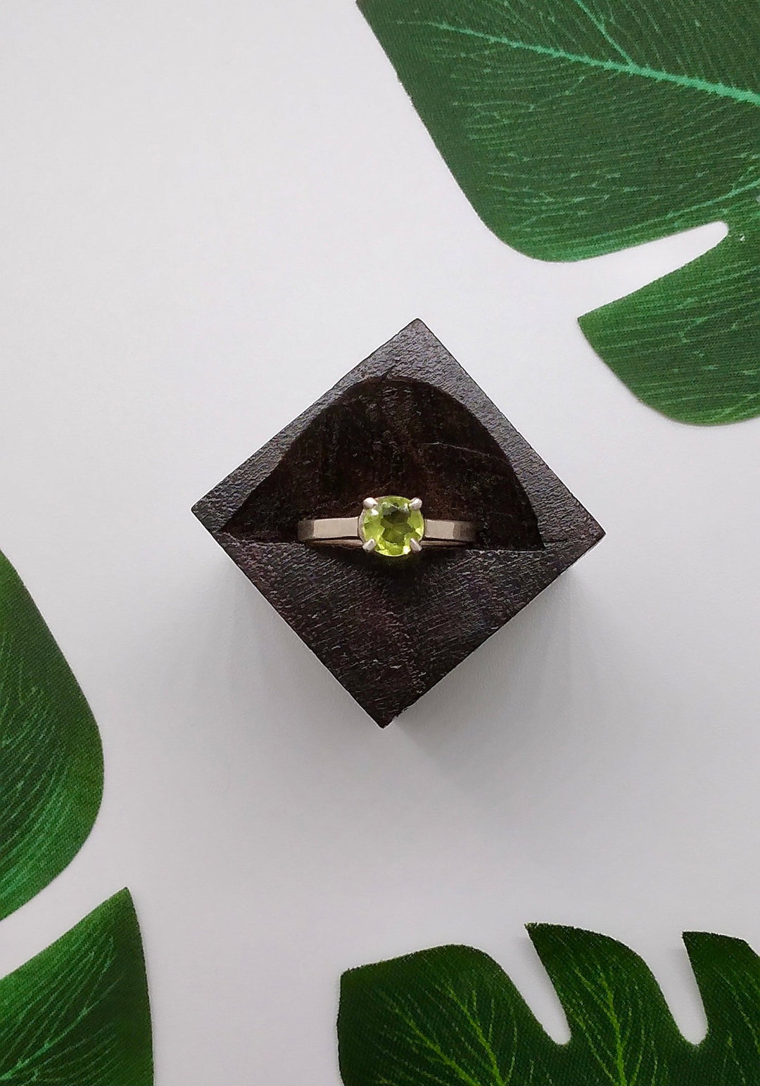 Dreamcatcher - Violet Elizabeth - 