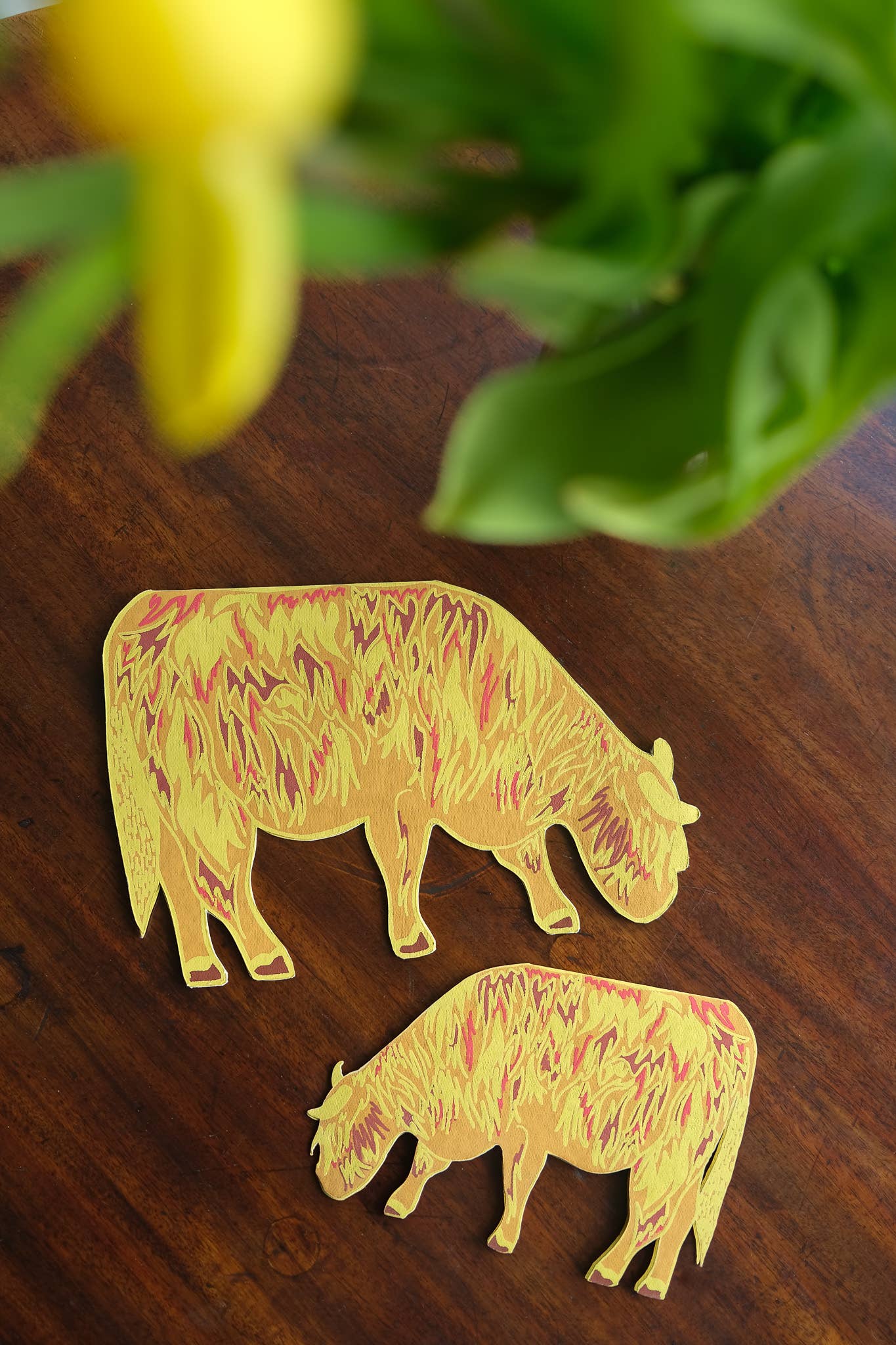 Highland Cow Greeting Card: C5