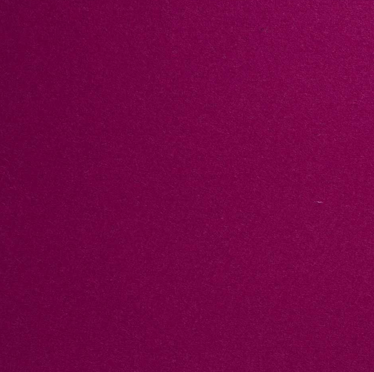 Fuchsia Boiled Wool Fabric - Violet Elizabeth - Haberdashery