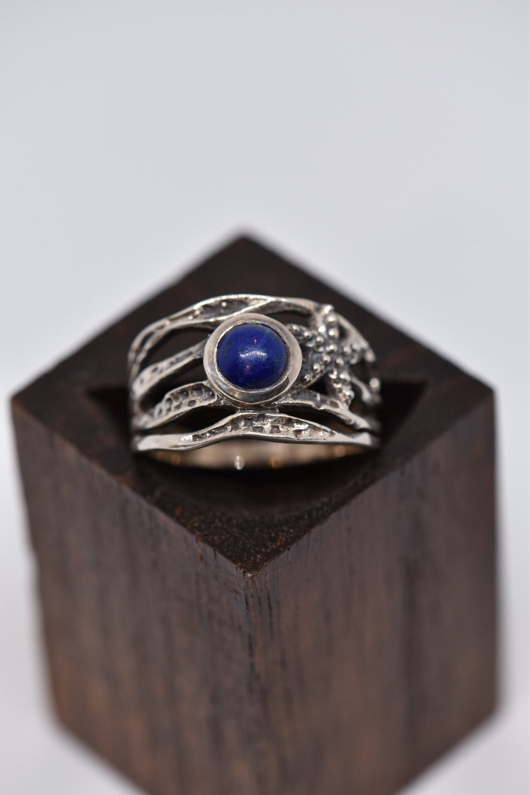 Lagoon's Treasure - Violet Elizabeth - 