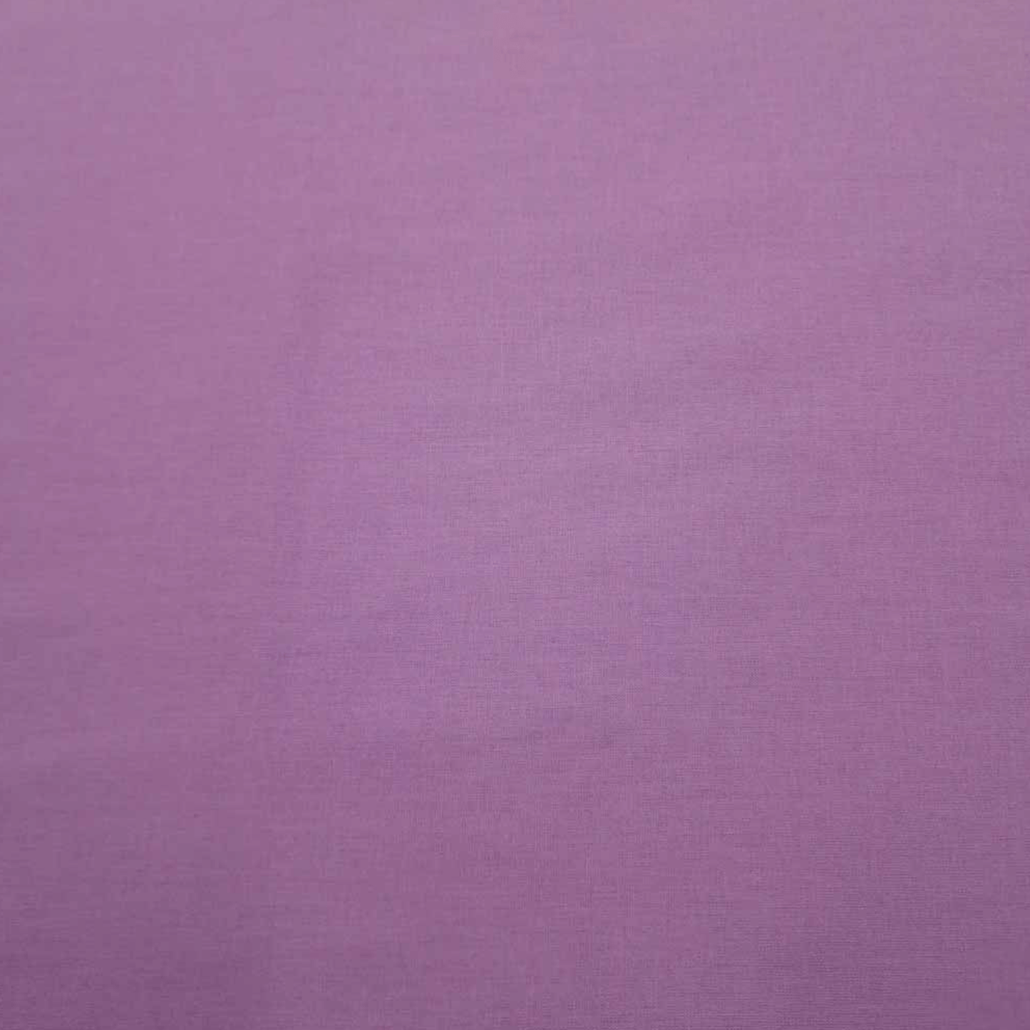 Lavender Plain Quilting Cotton - Violet Elizabeth - Haberdashery