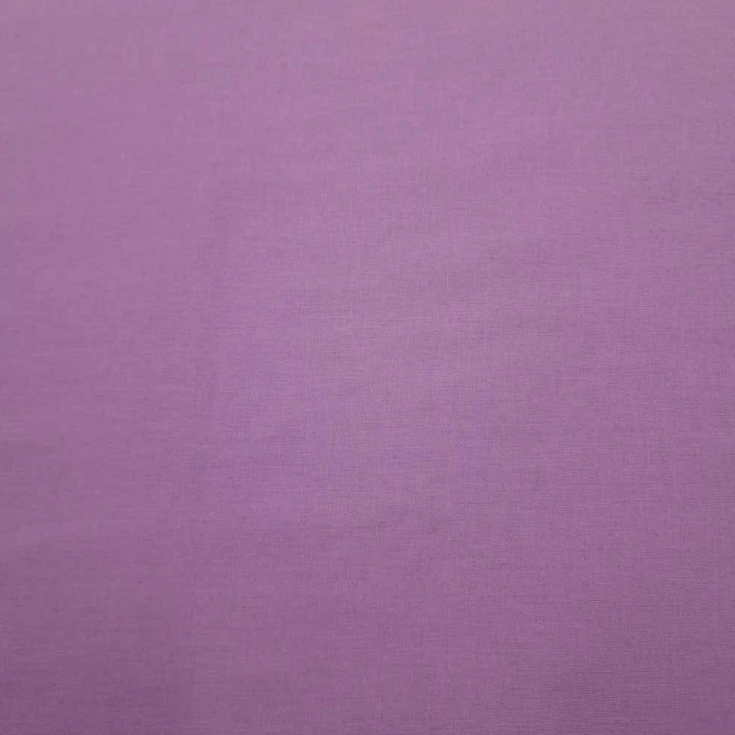 Lavender Plain Quilting Cotton - Violet Elizabeth - Haberdashery