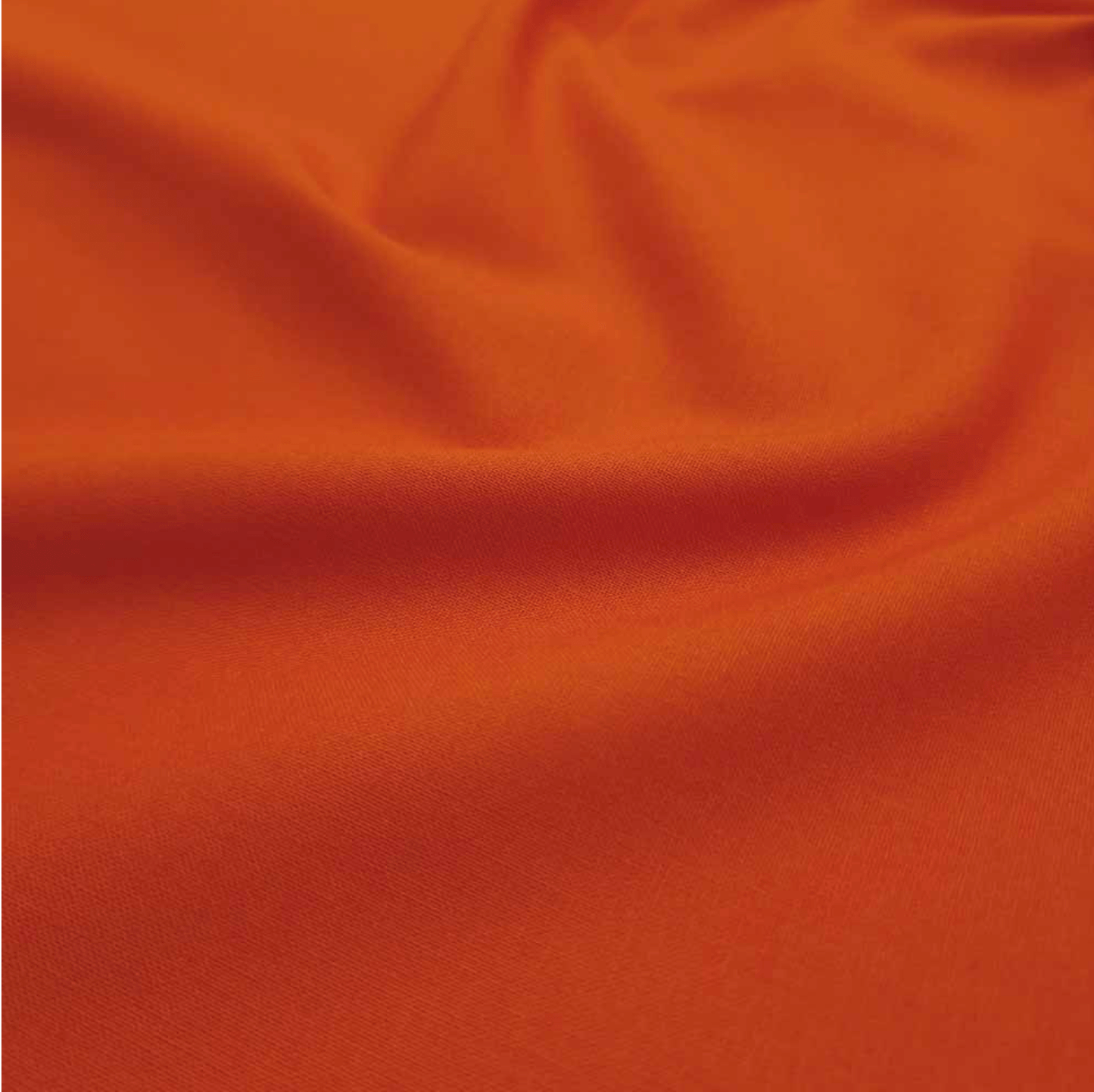 Paprika Plain Quilting Cotton - Violet Elizabeth - Haberdashery