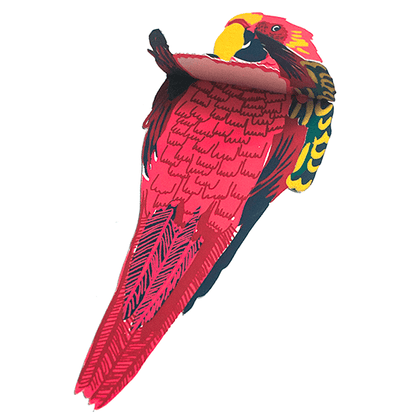 Parrot Greeting Card - Violet Elizabeth - 