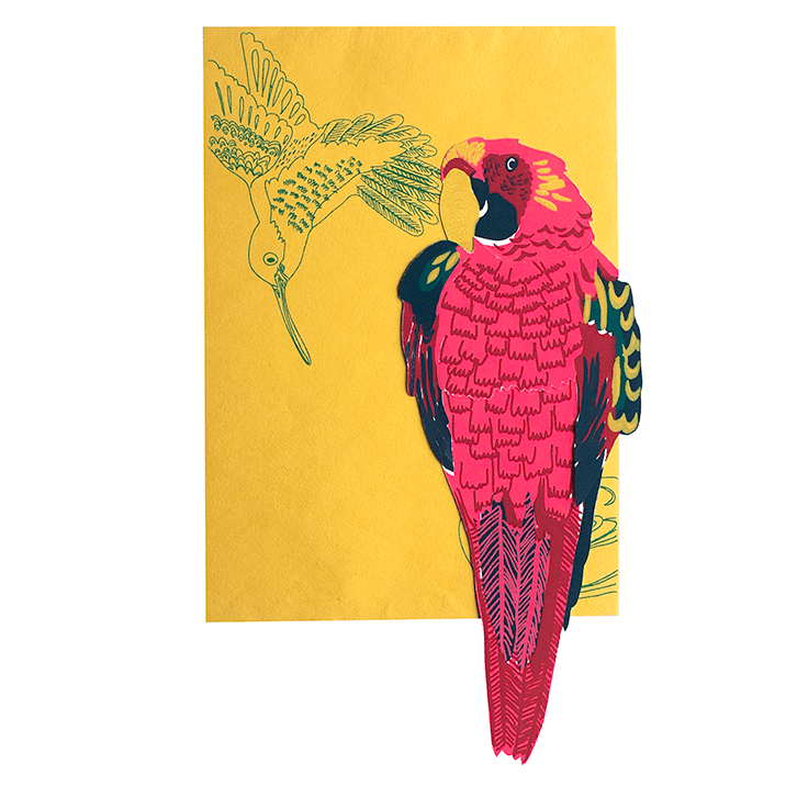 Parrot Greeting Card - Violet Elizabeth - 