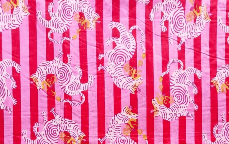 Pink Red Dragon Cat Cotton Boxer Shorts - Violet Elizabeth - Clothing