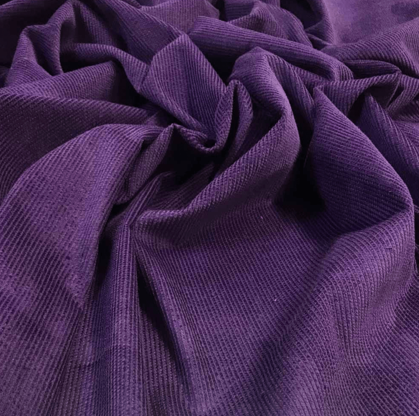 Purple 8 wale cotton corduroy fabric - Violet Elizabeth - Haberdashery