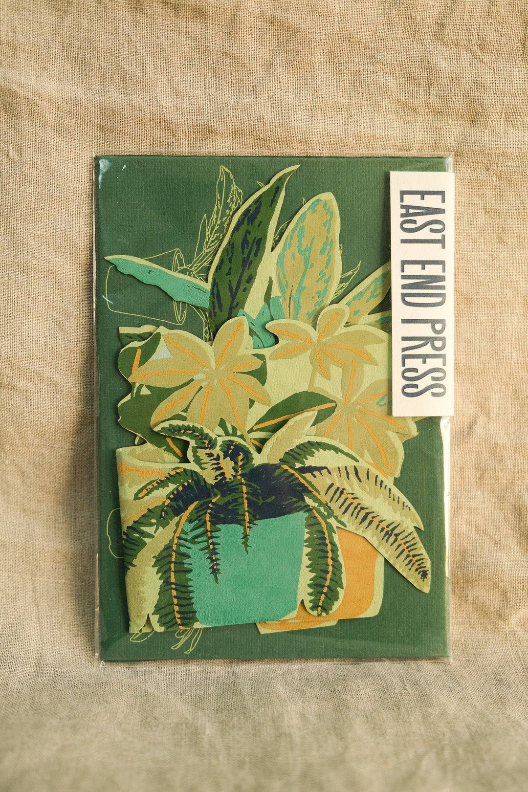 UK/EU: Plant Pot Concertina Greeting Card - Violet Elizabeth -